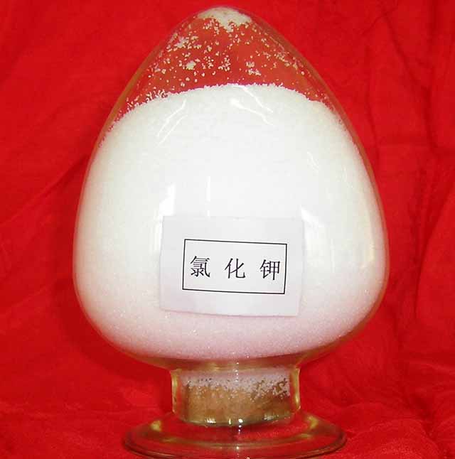 氯化钾 (KCl)-粉末
